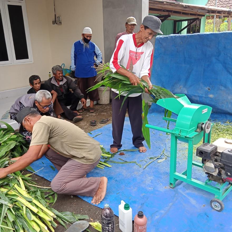 Berlatih Membuat Pakan Fermentasi Bersama Swapustaka Hargorejo